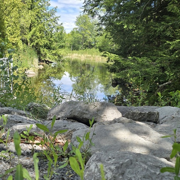 Meet your Posher, Leanne - Picture 1 of 1